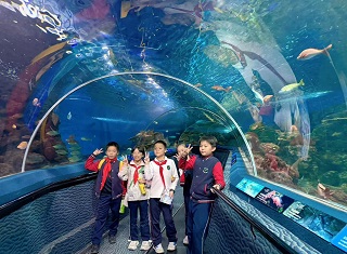 1762840732664141.jpg 179057c3002904a10b9e3baf70c277a8.jpg